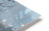 First Snow HD Metal print