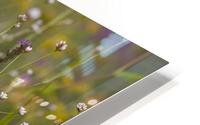 Spring Meadow HD Metal print