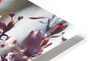 Reds in Spring HD Metal print