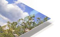 Amazing Sedona HD Metal print