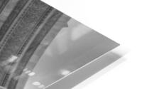 Champslyses Underside HD Metal print