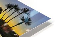 Palms at First Light HD Metal print