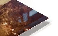 Light and Sand HD Metal print