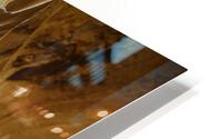 Antelope Beams HD Metal print