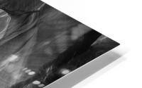 Spinning Top BW HD Metal print