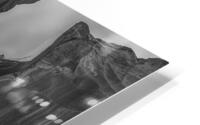 Antelope Winged Creature BW HD Metal print