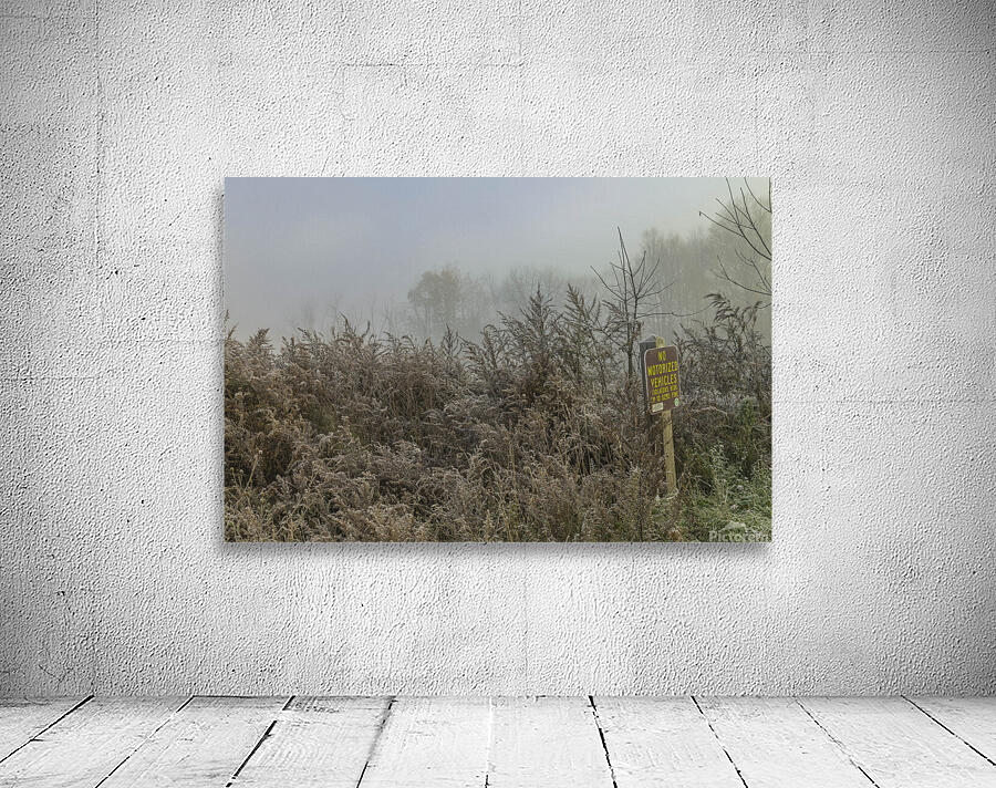 No Motorized Vehicles Wall Preview