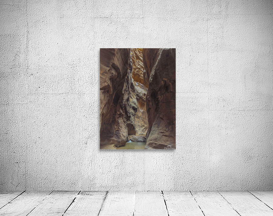 Zion Narrows Wall Preview