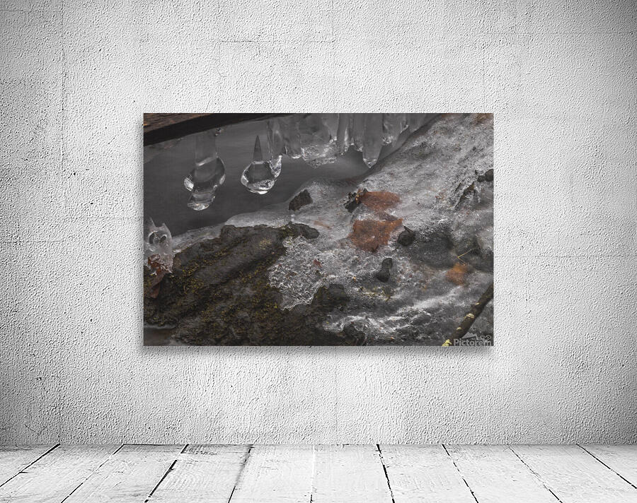 Winter Solace 4 Wall Preview