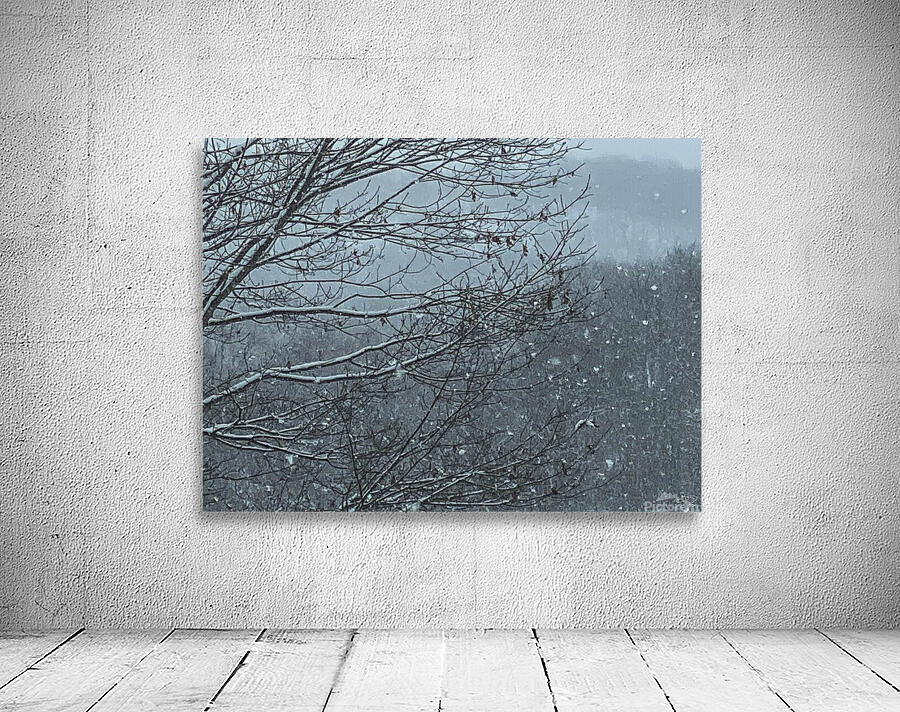 First Snow Wall Preview