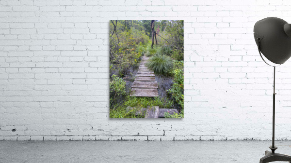 Happy Trails Wall Preview