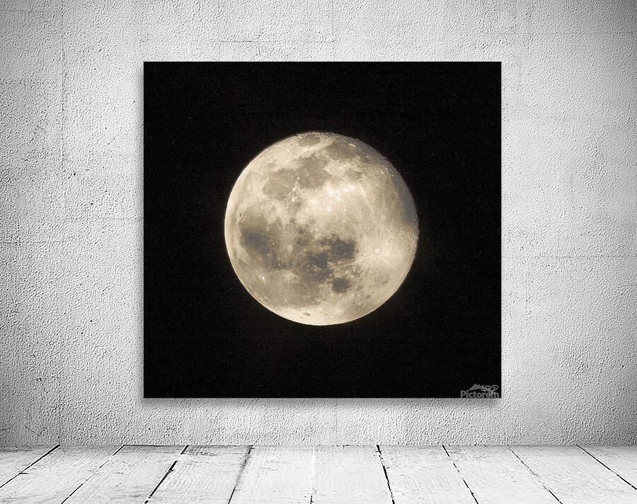 Wolf Moon Wall Preview