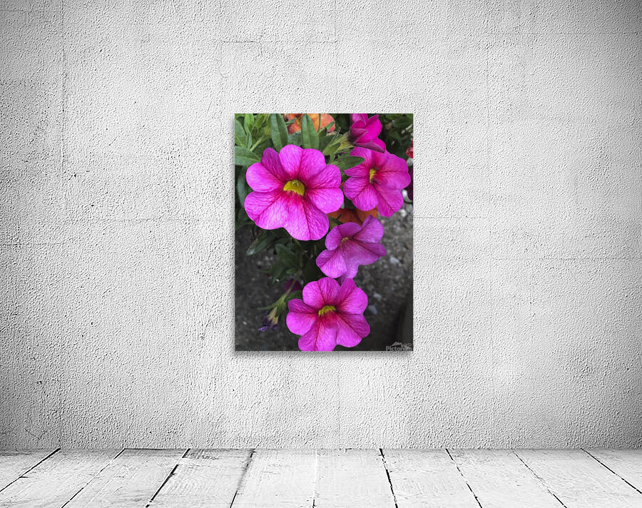 Spring Portrait Wall Preview
