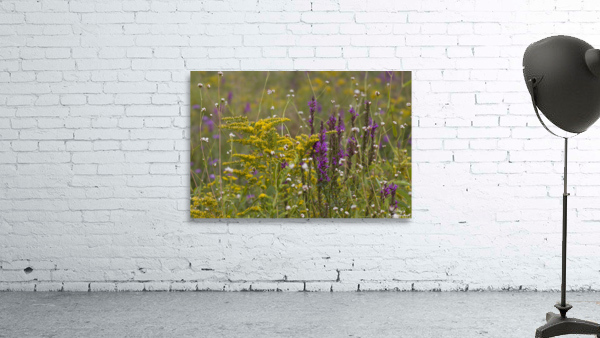 Spring Meadow Wall Preview