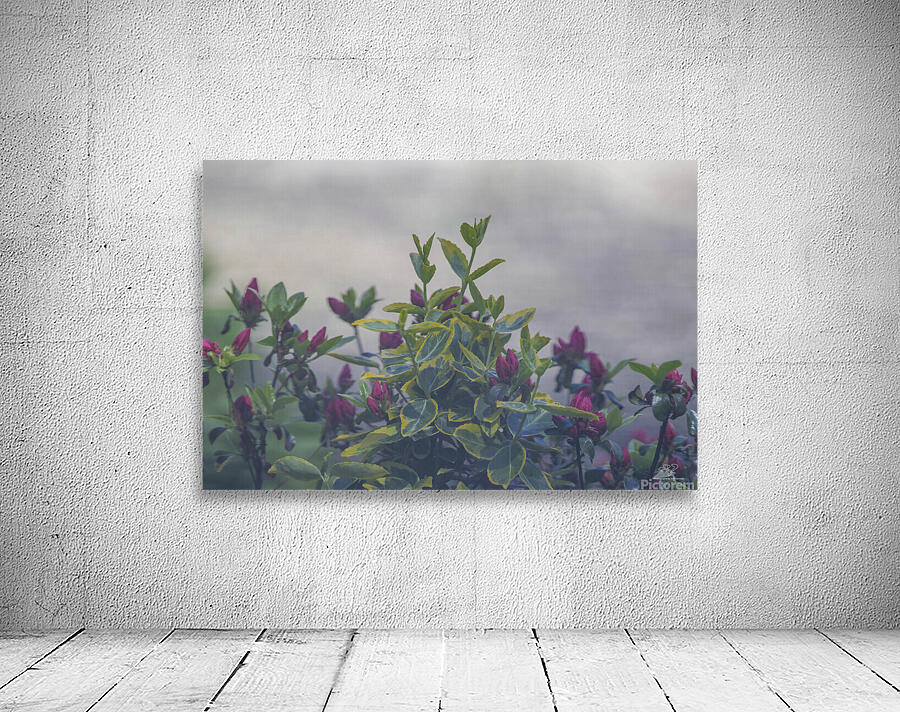 Evening Tips Wall Preview