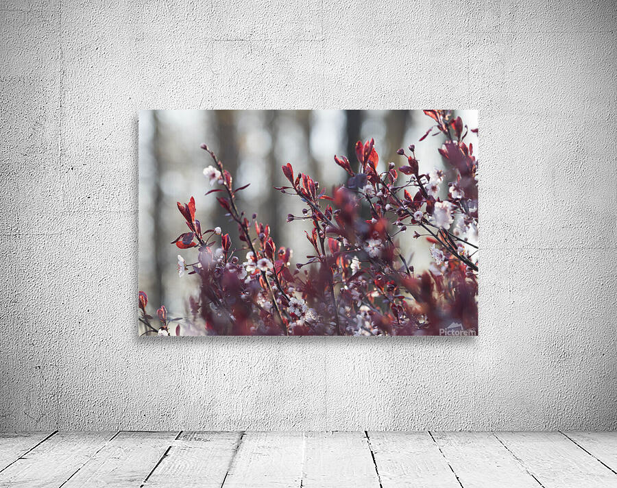 Reds in Spring Wall Preview