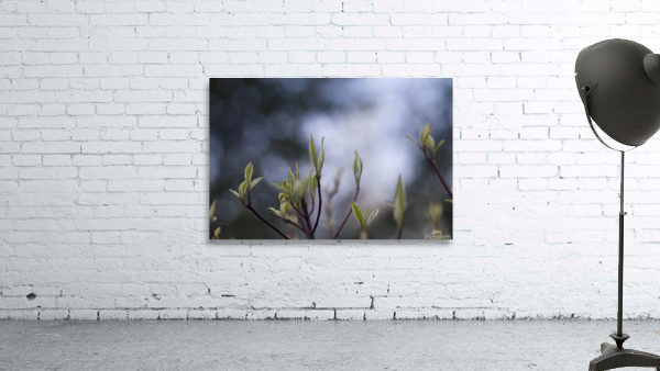 Something is Alive  Wall Preview