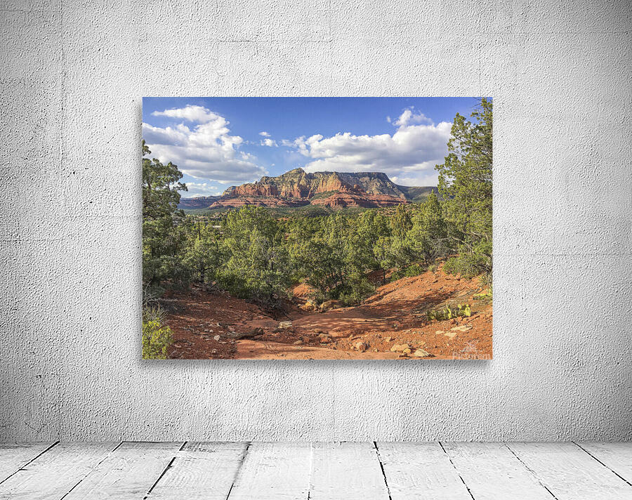Amazing Sedona Wall Preview