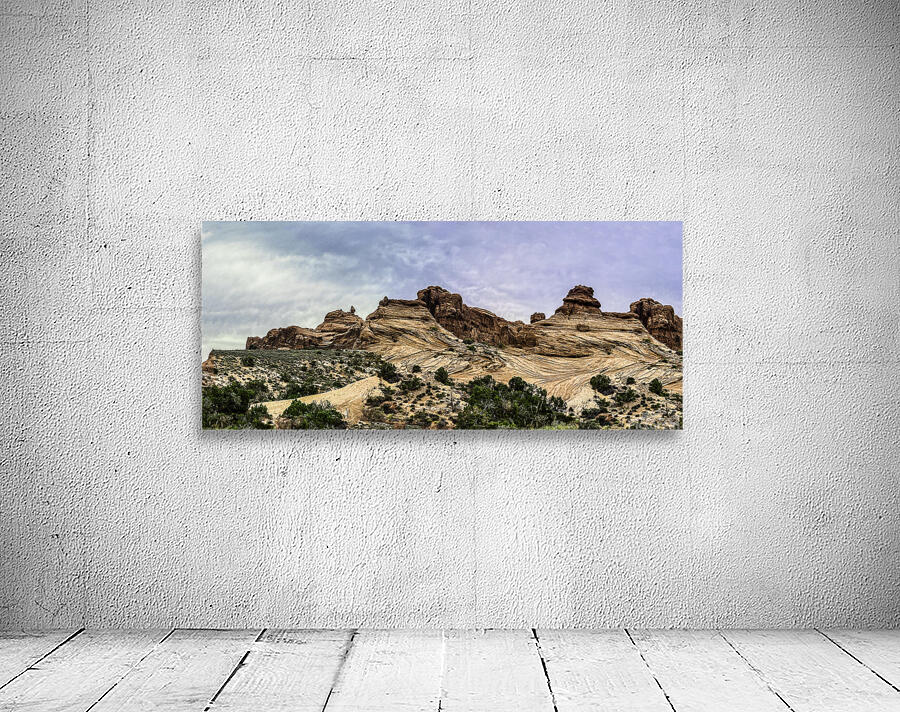 Wind Swept Range Panorama Wall Preview