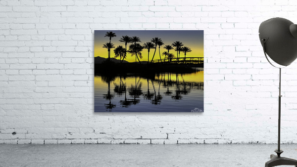 Palms at Dawn Reflections Wall Preview