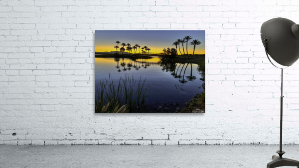 Palms at First Light Wall Preview