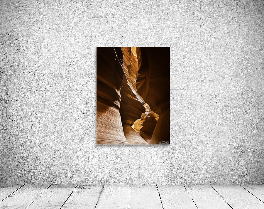 Antelope Contours Wall Preview