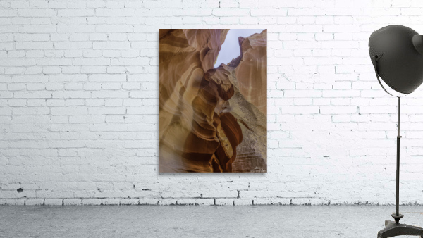 Antelope Winged Creature Wall Preview