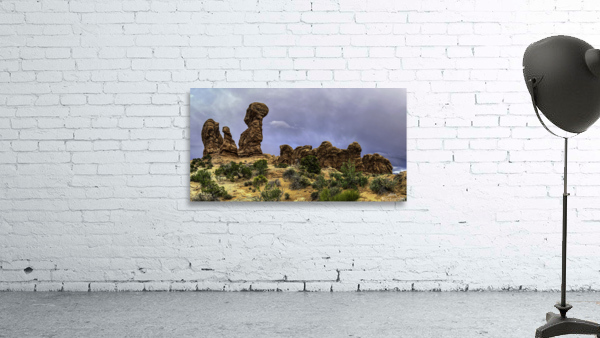 Arches Talking Heads Wall Preview