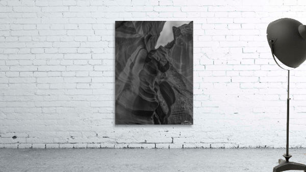 Antelope Winged Creature BW Wall Preview