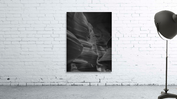 Canyon Contours BW Wall Preview