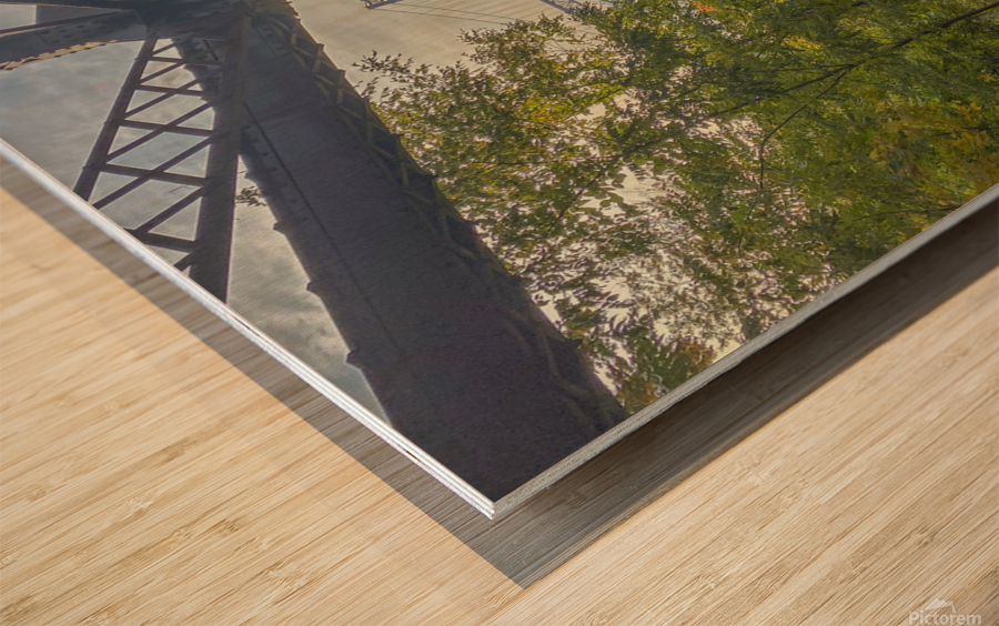 Bear Mountain Bridges Wood print
