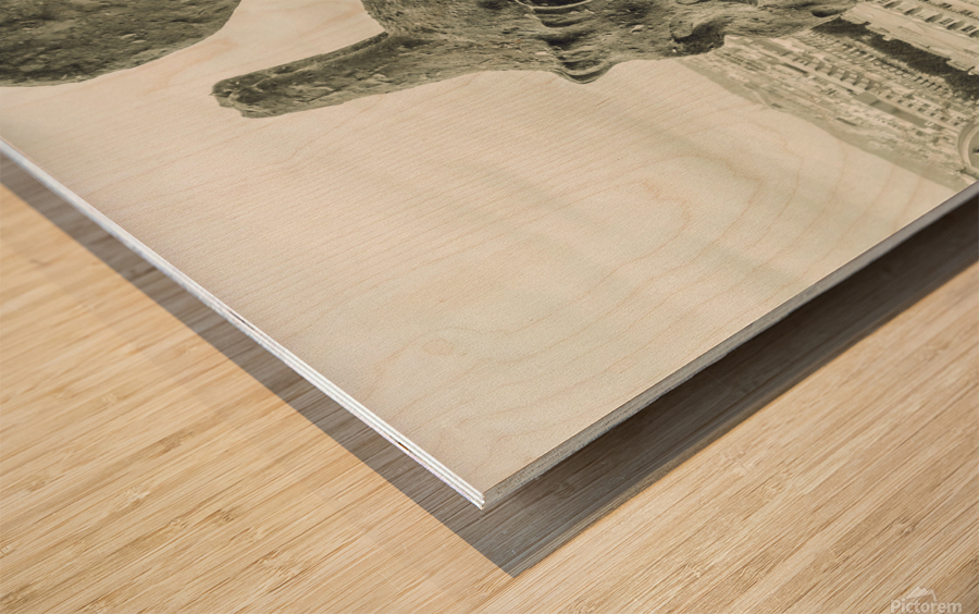 Contemplating V Wood print