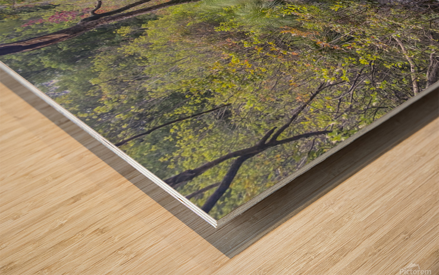 Happy Trails Wood print