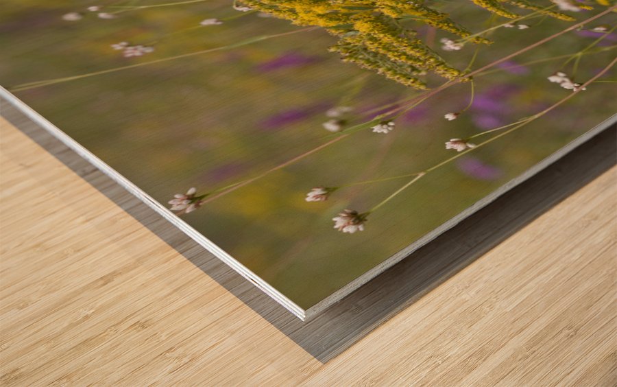 Spring Meadow Wood print