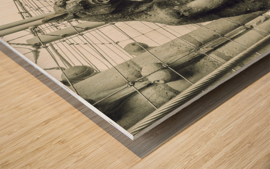 Snack time... Wood print