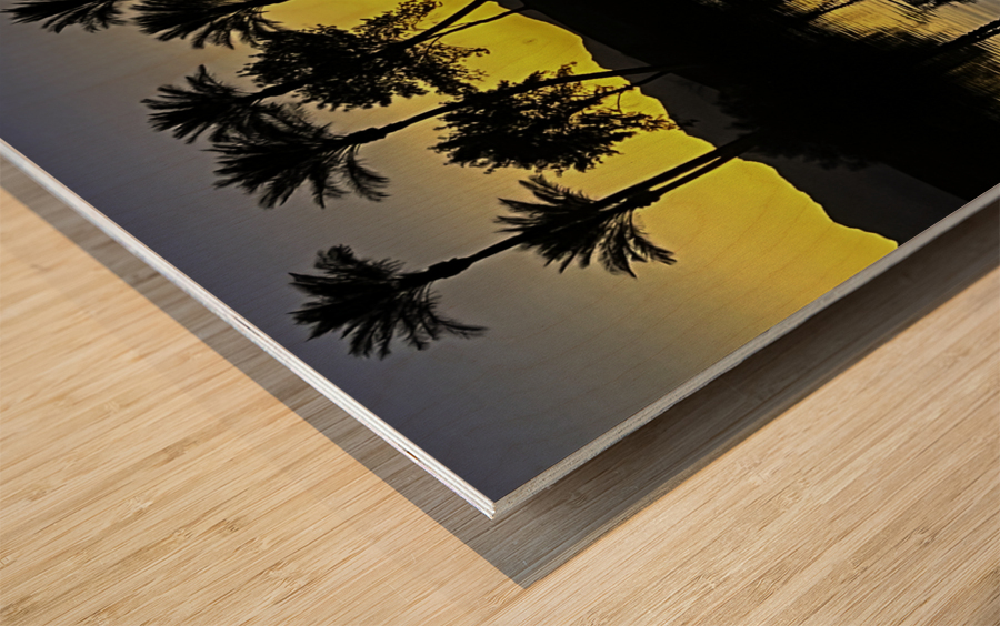 Palms at Dawn Reflections Wood print