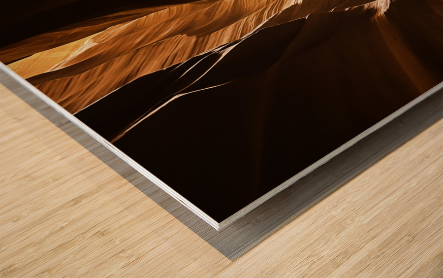 Antelope Contours Wood print