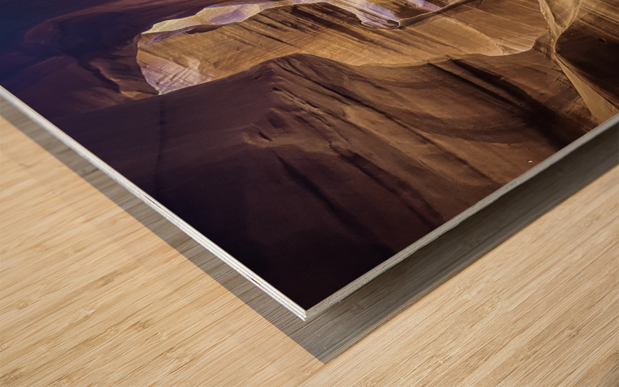 Antelope Sanctuary Wood print