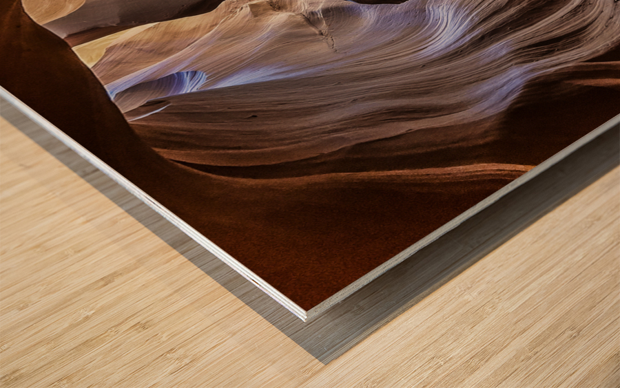 Antelope Pony Wood print