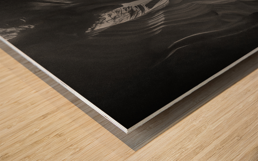 Swirling Shadows BW Wood print