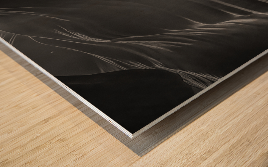 Canyon Waves BW Wood print