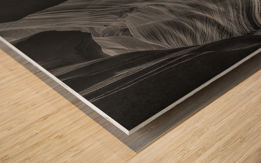 Canyon Column BW Wood print