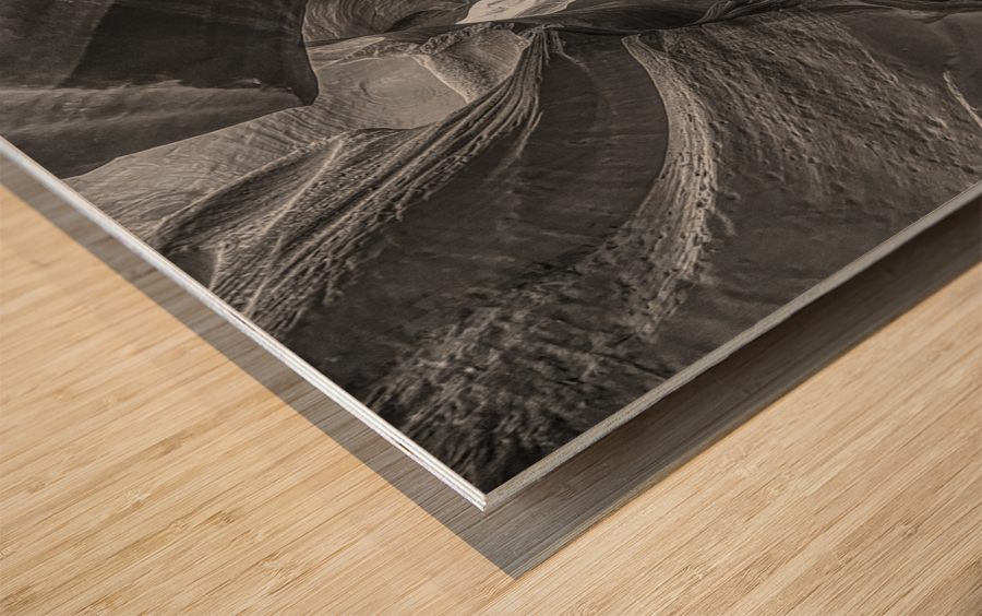 Column Cavalcade BW Wood print
