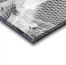 Maritime fish net pattern texture Acrylic print