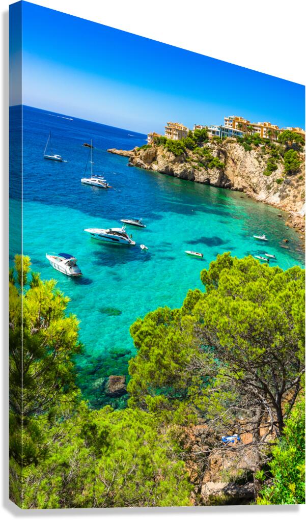 Costa de la Calma Mallorca Canvas Print