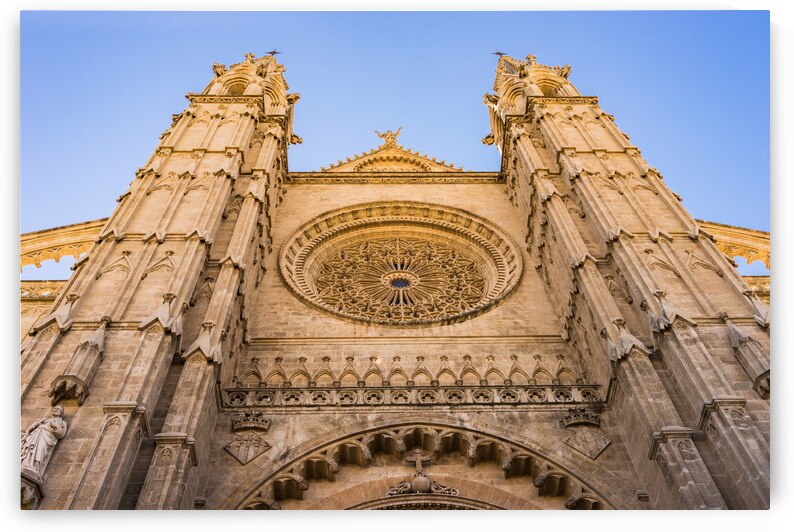 Detail view of Cathedral La Seu by alex
