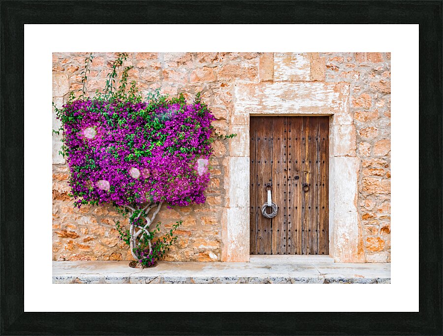 Old door with beautiful bougainvillea flowers Picture Frame print