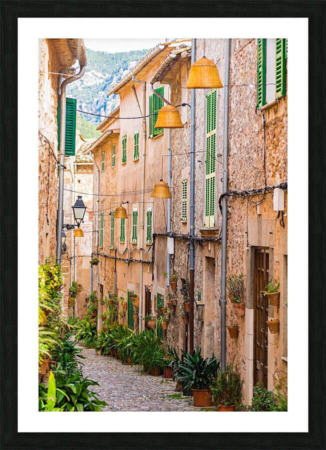  Fine Art print