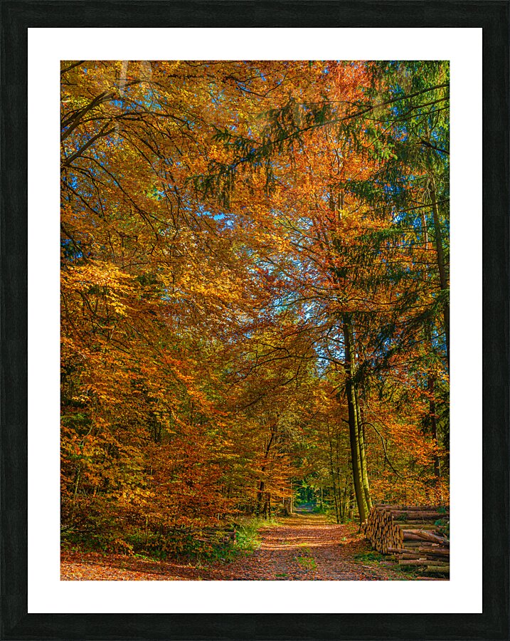  Fine Art print