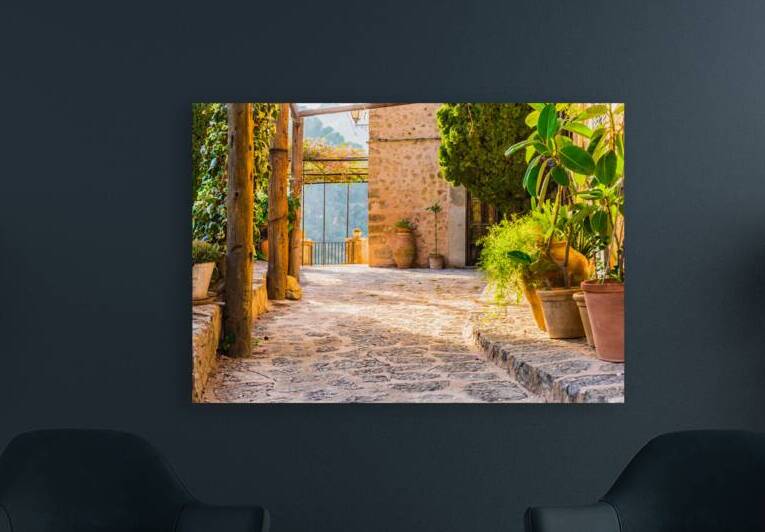 Beautiful potted plants and idyllic sunset light by alex